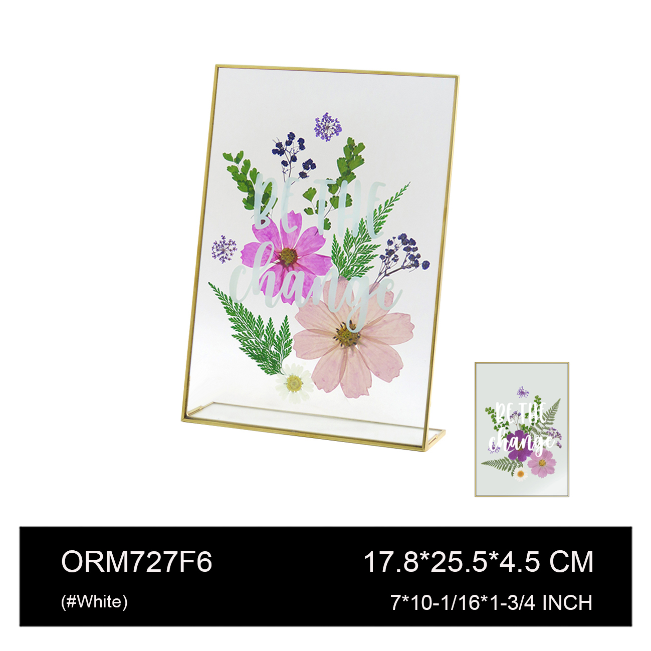 ORM727F6